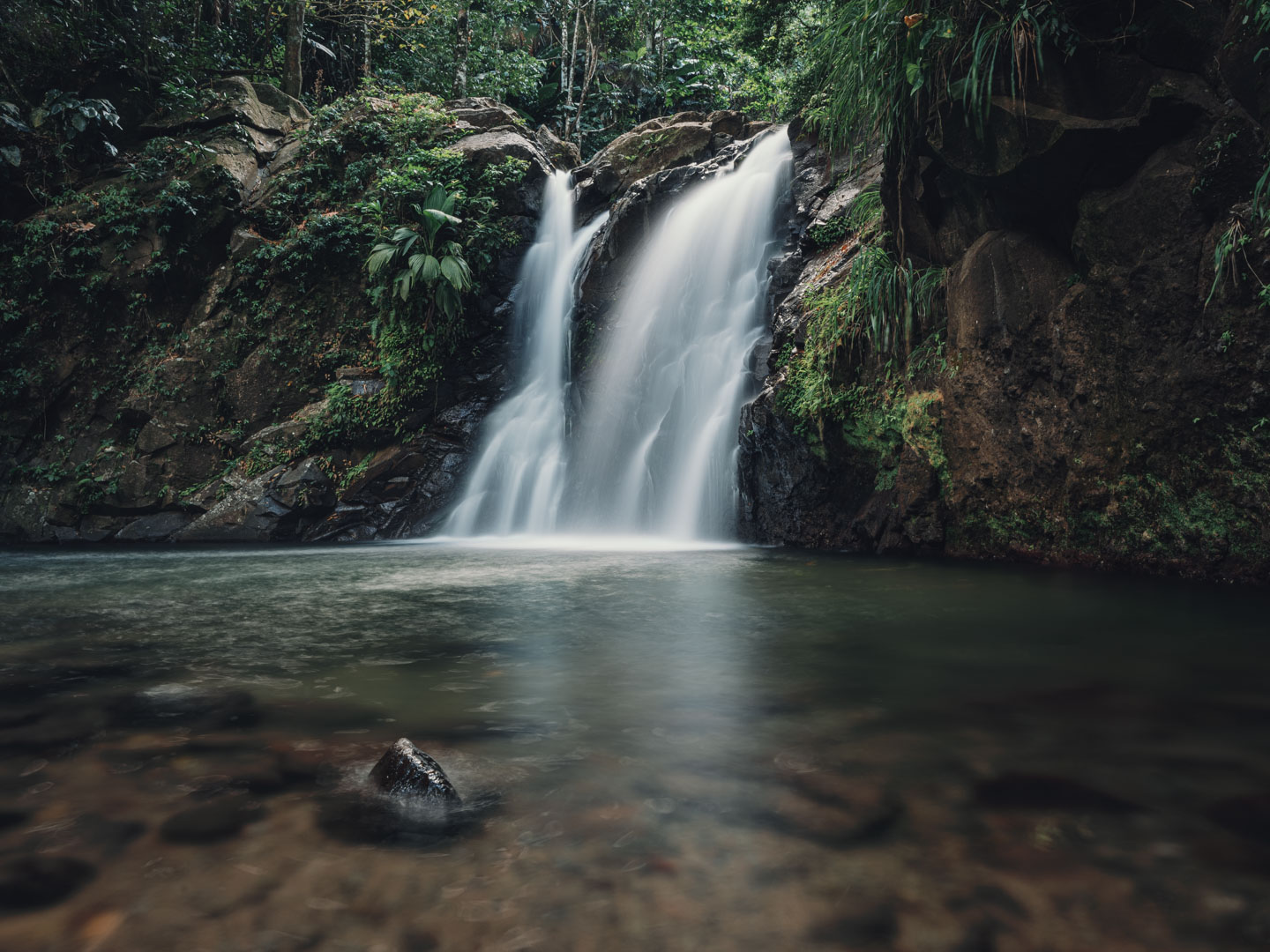 Profitez des merveilles qu'offre la Martinique